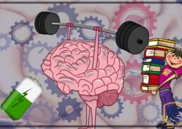  What exercises can I do to improve my Memory and Brain Power