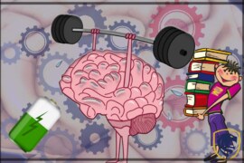  What exercises can I do to improve my Memory and Brain Power