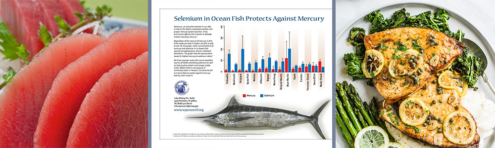 mercury in food