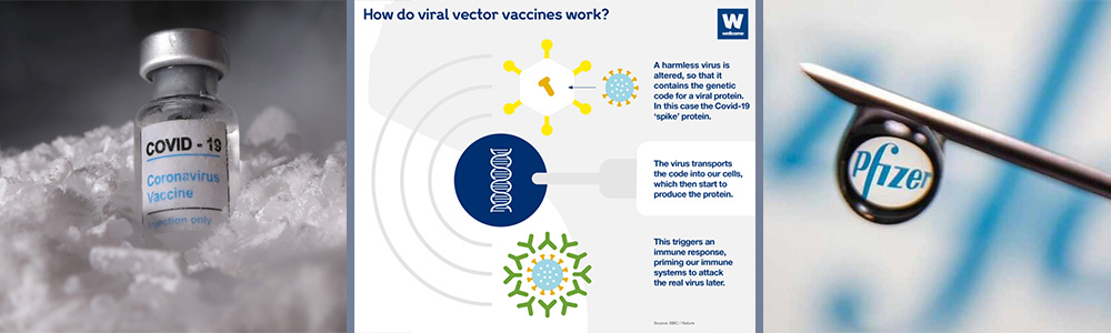 Pfizer vaccine-How the Pfizer vaccine works