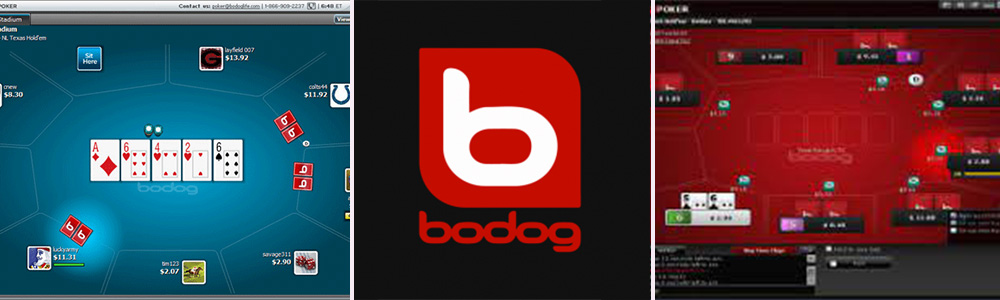 Bodog poker