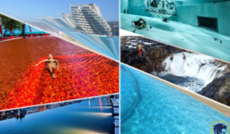 8 scariest swimming pools around the world