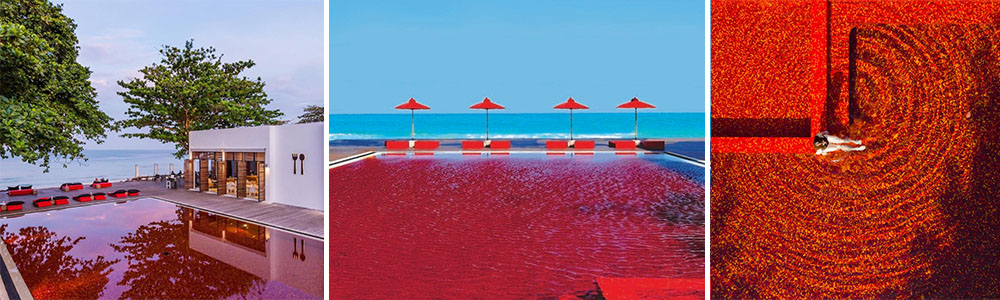 Blood red swimming pool, library resort.