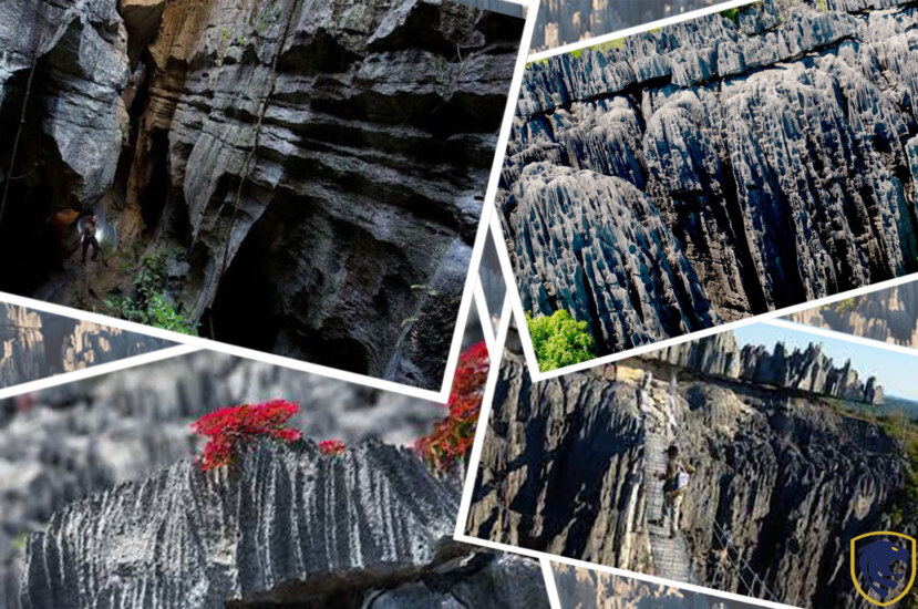 Stone forest in Madagascar