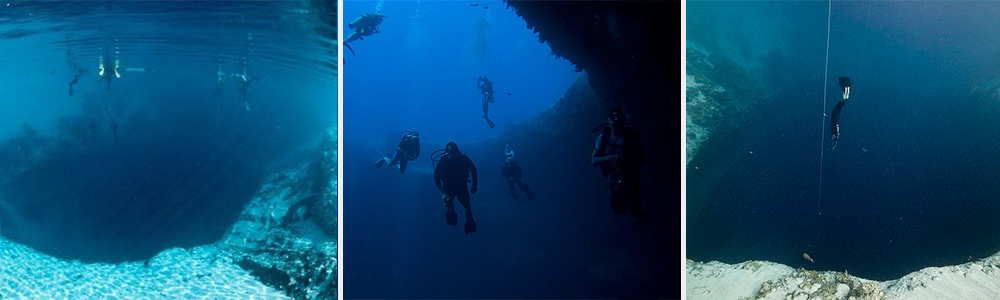 diving in Dean's Blue Hole, Bahamas