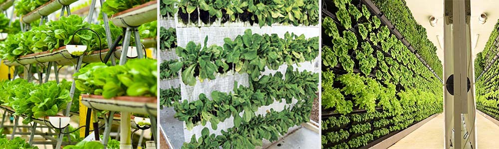 Vertical farming technology