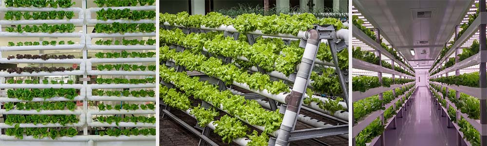 Vertical farming