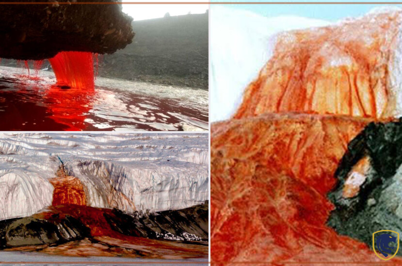 Blood waterfall in Antarctica