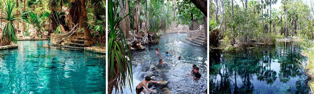 Mataranka Thermal Springs