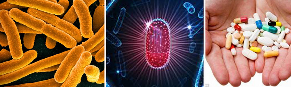 AI reveals new antibiotics  ;The Most Surprising Science Discoveries In 2022