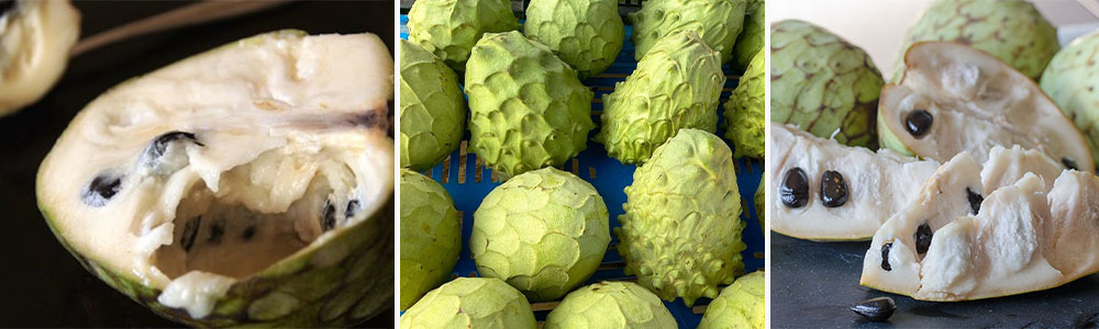 Cherimoya;Most Exotic Fruits Around The World.