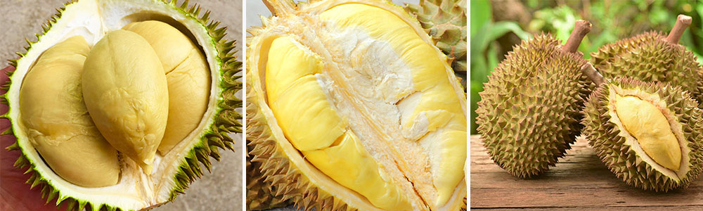 Durian