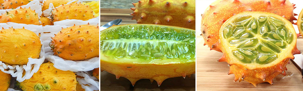 Horned Melon (Kiwano)