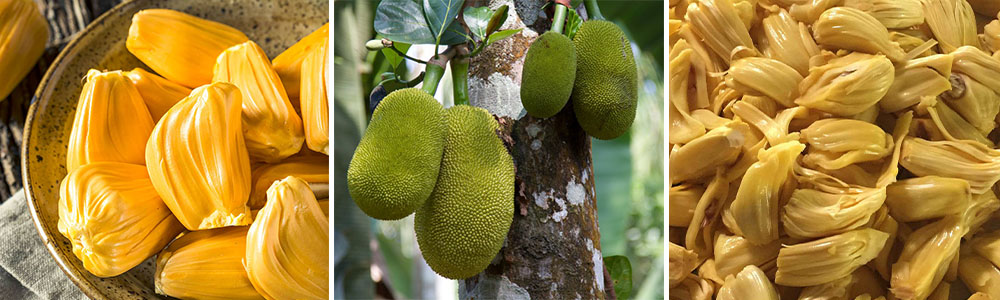 Jackfruit  ;Most Exotic Fruits Around The World.