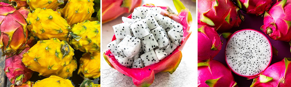 Pitaya or dragon fruit