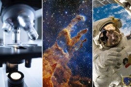 The Most Surprising Science Discoveries In 2022