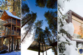 Best Treehouse Hotels In The World