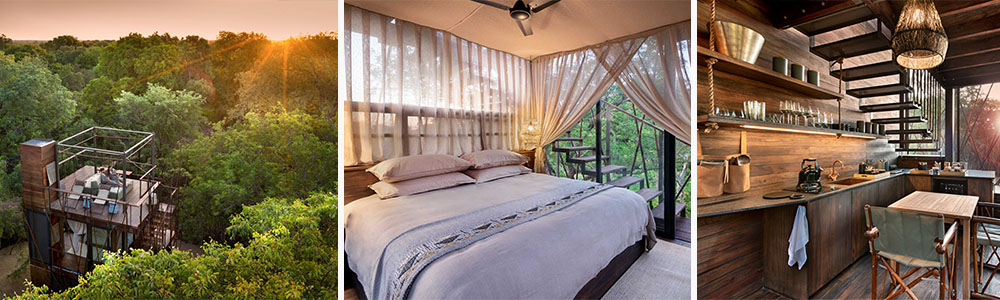 The Ngala Treehouse Experience