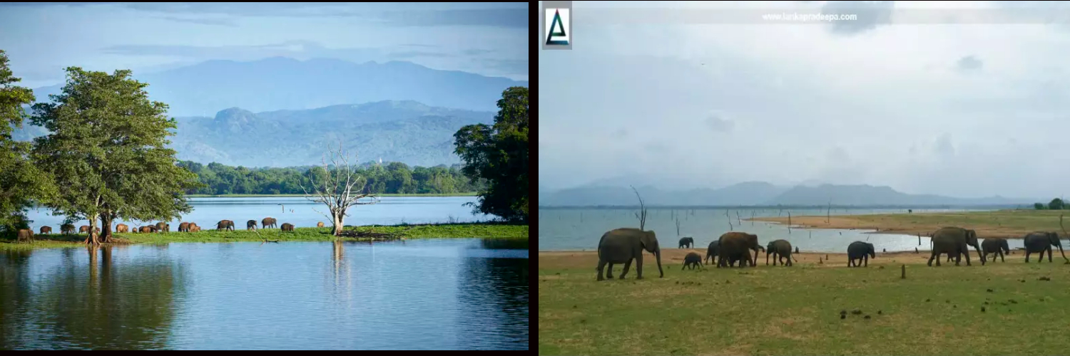 National park in sri lanka