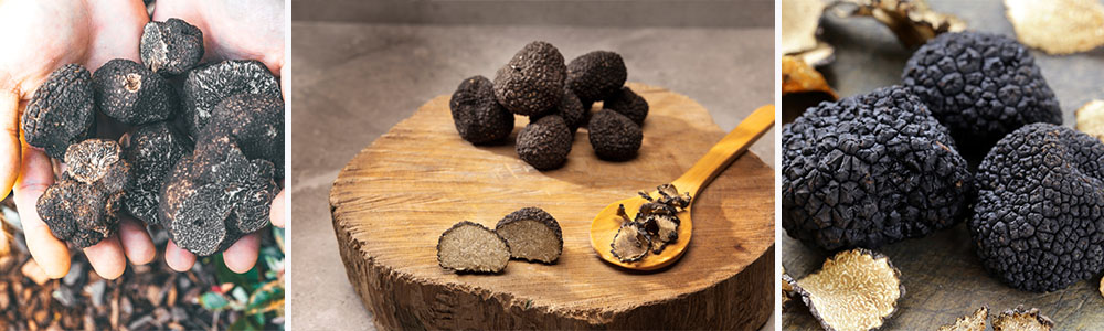 Black Truffles