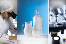How Is Lab Milk Produced?
