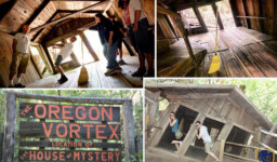 The Mysterious Oregon Vortex