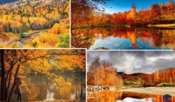 Best Places To Witness The Beauty Of The Fall