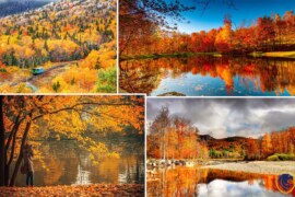 Best Places To Witness The Beauty Of The Fall