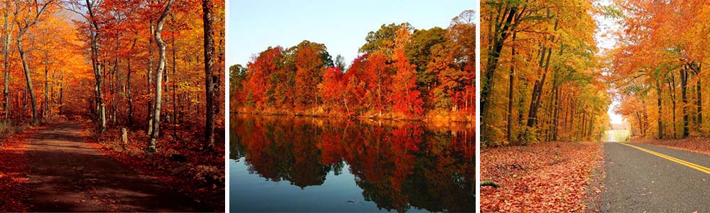 Best Places To Witness The Beauty Of The Fall; Eastern Shore, Maryland