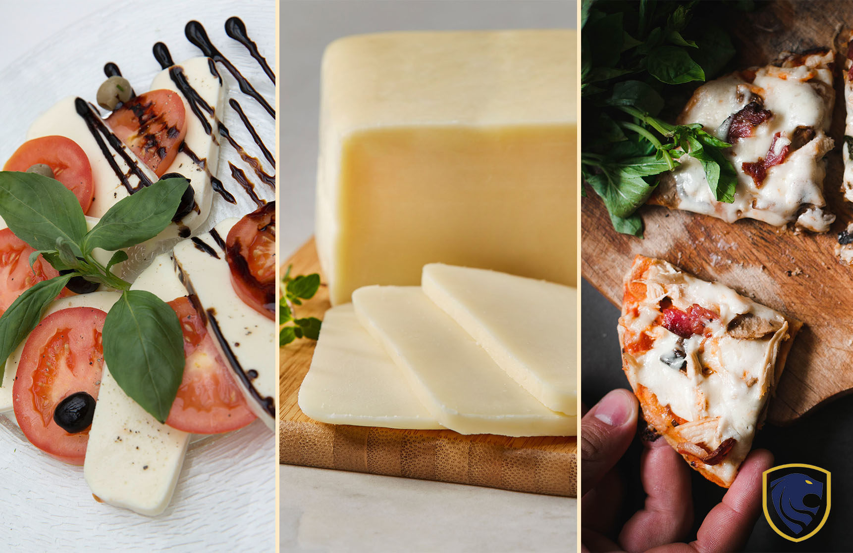 Best Mozzarella Cheese Brands In The World Review Oracle