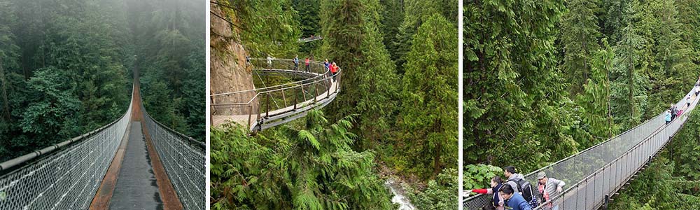 Capilano Suspension