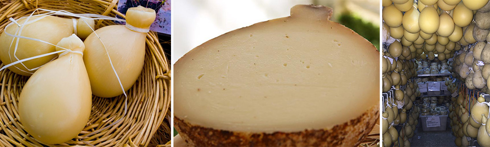 Horse Cheese; Most Exotics Varieties Of Cheese Around The World