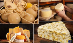 Most Exotics Varieties Of Cheese Around The World