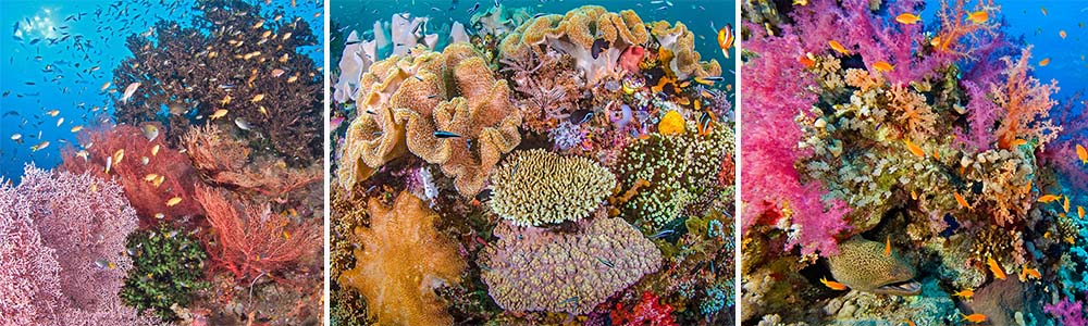 Raja Ampat, Indonesia