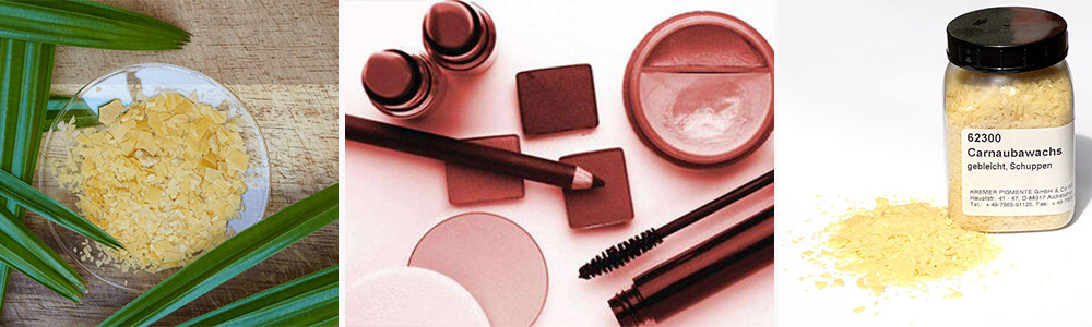Carnauba Wax; Exploring the Makeup Bag: Unveiling the Most Common Ingredients in Cosmetic Products