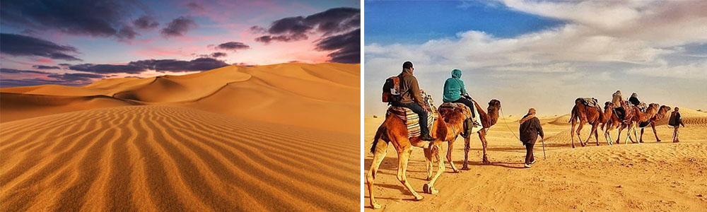 Admire the Desert Landscapes; Exploring Tunisia