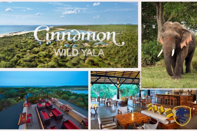 Cinnamon Wild Yala: Unleash Your Inner Wildlife Enthusiast