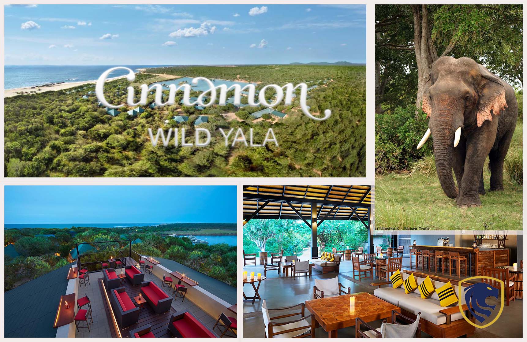 Cinnamon Wild Yala: Unleash Your Inner Wildlife Enthusiast