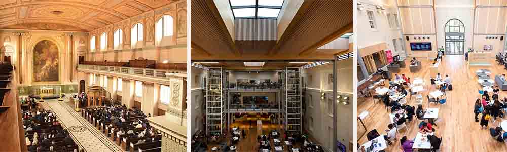 The Faculty of Business