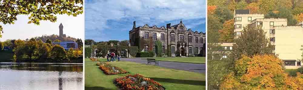 Rankings and Recognitions