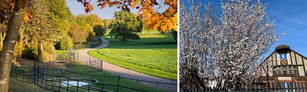 Weather in the Hendon Area