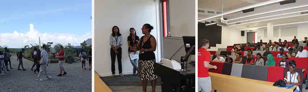 Faculties and Courses Offered by Middlesex University Mauritius