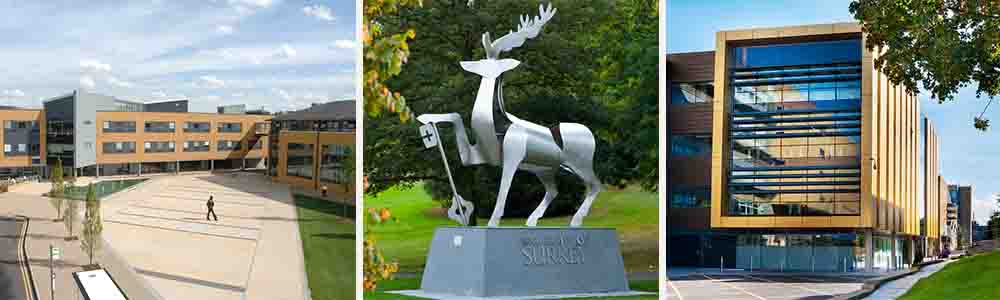 Rankings and Recognition: How Good is Surrey?
