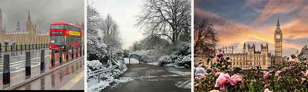 Weather in the city area of each sub campus is located