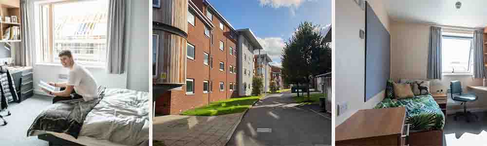 Accommodation (On-Campus & Off-Campus)