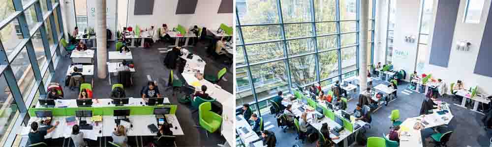 Faculties and Programs Available at Stag Hill Campus