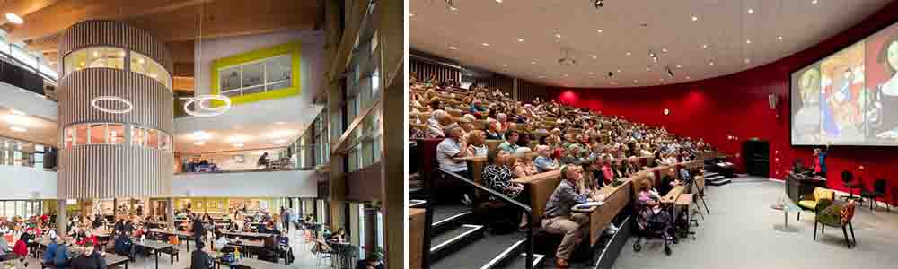 Faculties and Programs Available at Heslington East Campus