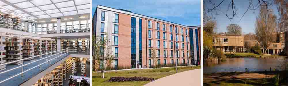 Infrastructure Facilities at Heslington West Campus