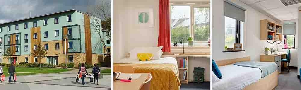 Accommodation for Main Campus Students