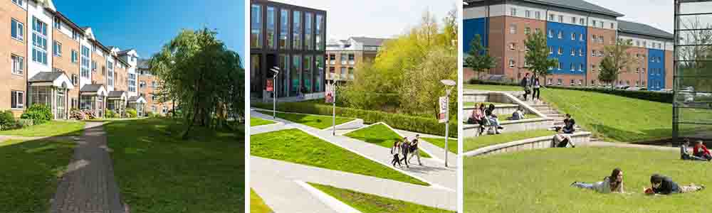 Rankings and Recognitions of the University